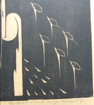 Jan Weiland jr. - St.Franciscus - de vogels kopen? Bied vanaf 22!