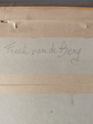 Freek van den Berg - Portret van een dame kopen? Bied vanaf 90!