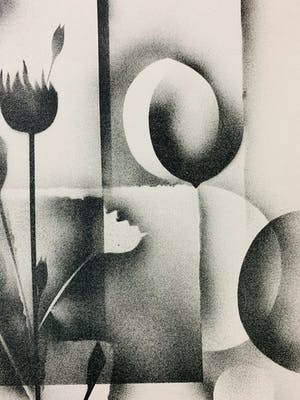 Gislain Dussart - Tulips kopen? Bied vanaf 15!