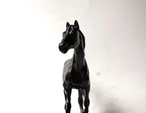 Irénée Rochard - Paard in draf kopen? Bied vanaf 2000!