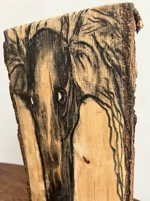 Emile van der Kruk - Greyhound kopen? Bied vanaf 1!