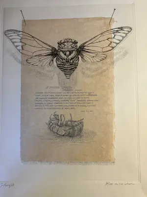 Gerard van Rooy - zonder titel kopen? Bied vanaf 20!