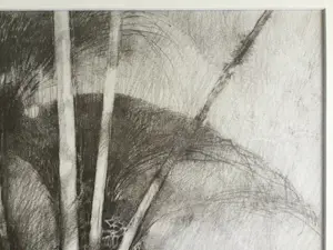 Ab Jongmans - Palm | grote litho - ingelijst kopen? Bied vanaf 39!