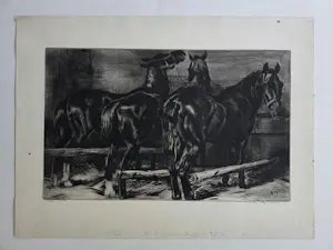 Kuno Brinks - Zwarte paarden. Eigen druk. kopen? Bied vanaf 89!