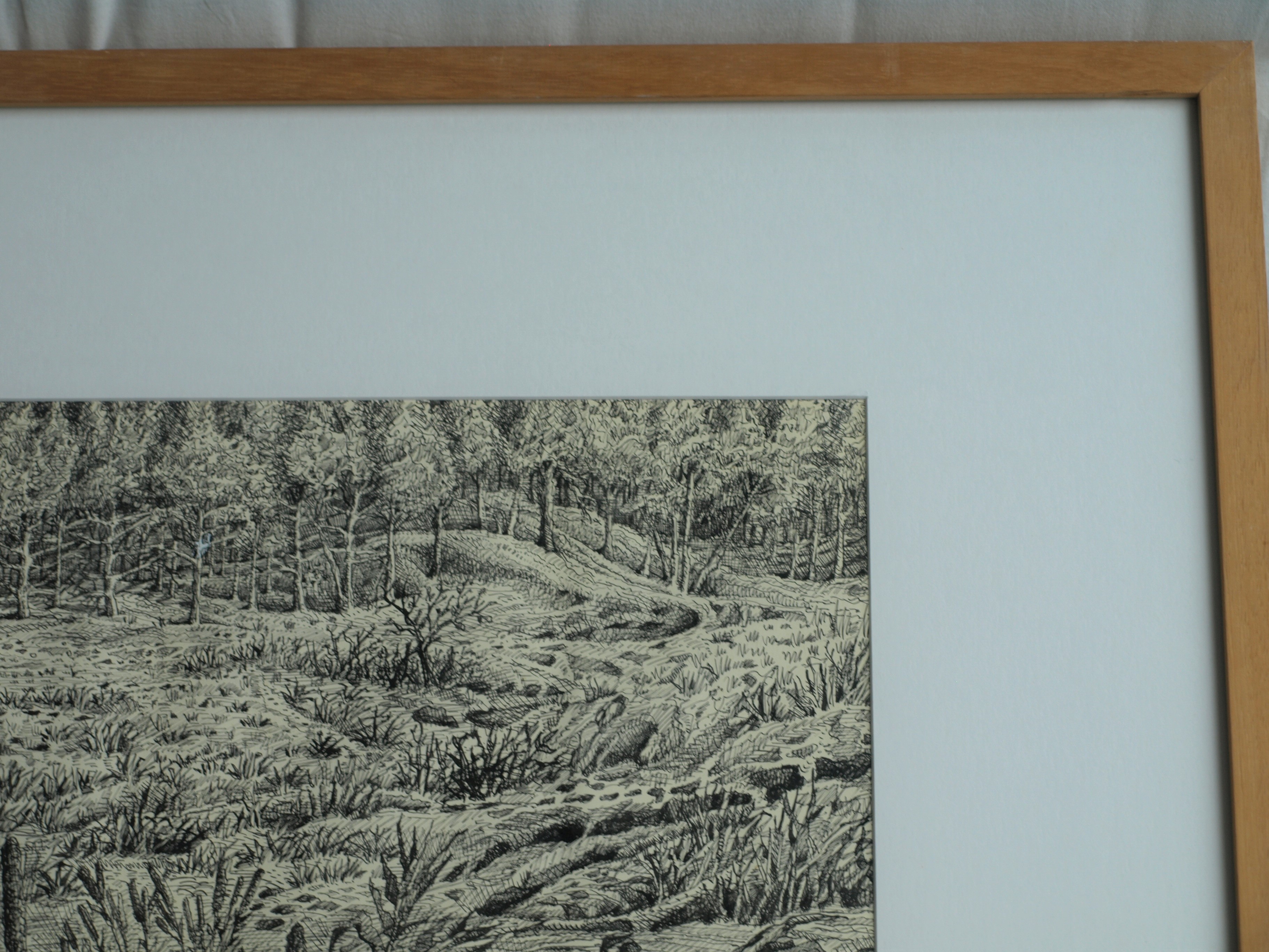 Hans Boon - Pentekening , Duinlandschap – gesigneerd & ingelijst – ca 1977  kopen? Bied vanaf 1!