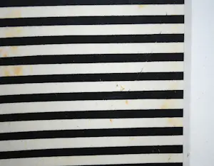 Nico van Stralen - ingelijste grote zeefdruk 'Volging' - extra: een gesigneerd boek kopen? Bied vanaf 100!