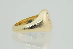 70 - Gave & massief 18Krt geel gouden zegelring met een fraai draak kopen? Bied vanaf 760!