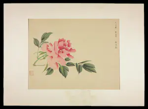 Niet of onleesbaar gesigneerd - 19e eeuwse Japanse Houtdruk, Pioen kopen? Bied vanaf 1!