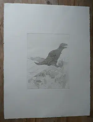 Aleid Mansholt - Ets(niet gesigneerd) kopen? Bied vanaf 10!