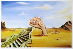 Willem den Broeder - Zeefdruk, Brainchain - mooi Ingelijst verkocht voor € 70!