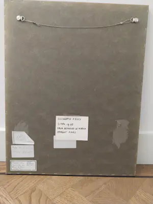 Ellsworth Kelly - Litho 1958 from derriere le miroir kopen? Bied vanaf 10!