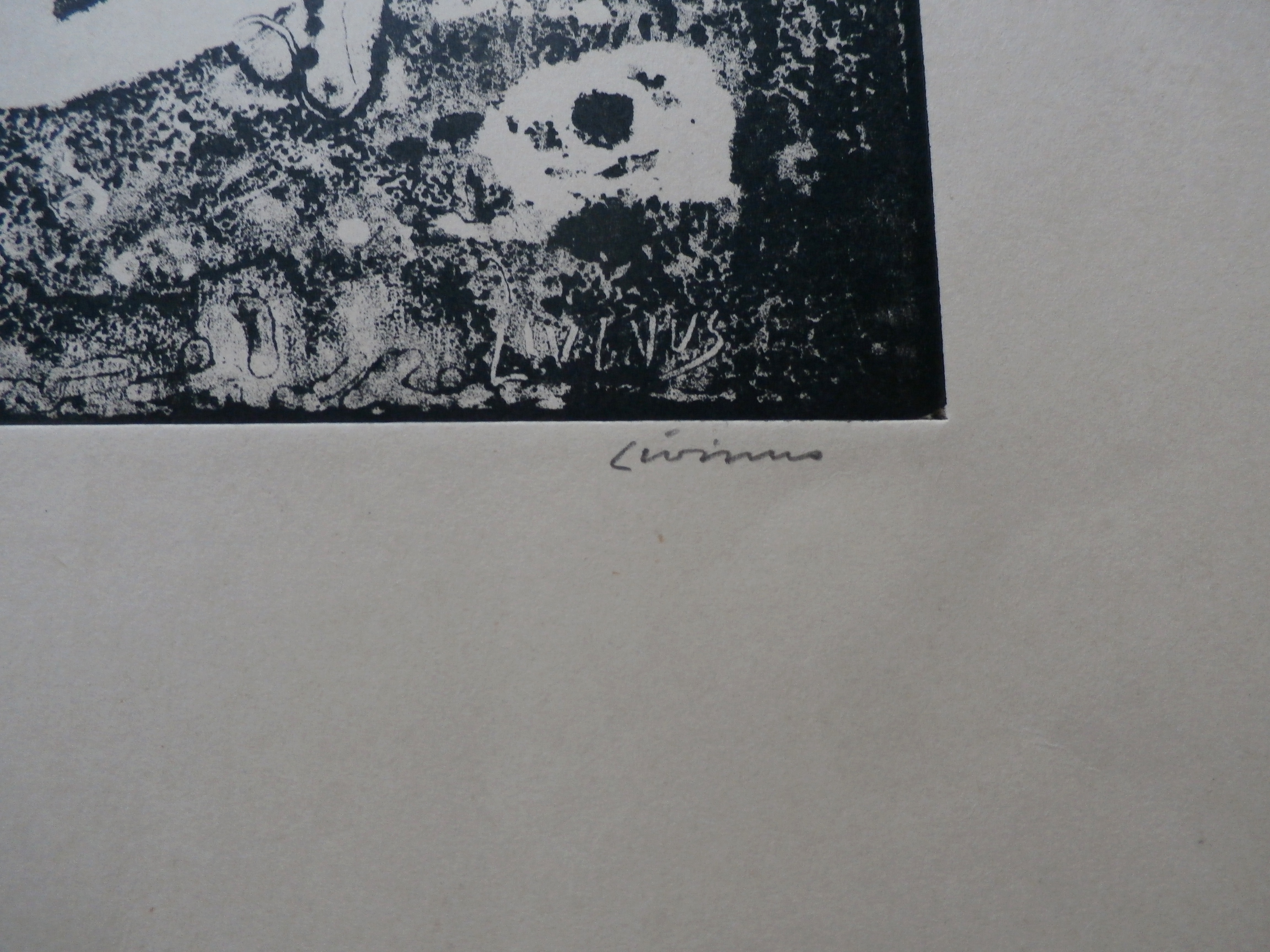 Livinus van de Bundt - litho: Les dames blanches kopen? Bied vanaf 40!