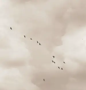 Mr Strange - Duik in de stad kopen? Bied vanaf 80!