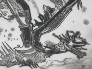 Cor de Wolff - Tamme beesten - Ets kopen? Bied vanaf 40!