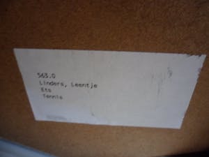 Leentje Linders - Ets en Blinddruk, Ad van Tage- Ingelijst kopen? Bied vanaf 35!