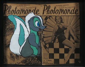 Jan Bollaert - Acryl op papier, Photomonde skunk - Ingelijst kopen? Bied vanaf 50!