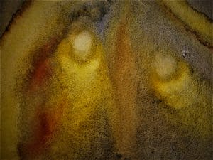 Gerard Schaperkotter - Intrigerend jaren 60 Abstract pointillistisch Aquarel - gesigneerd kopen? Bied vanaf 10!