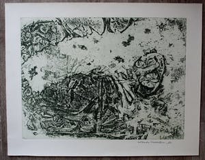 Wout van Heusden - Ets: 1980 (kleur: licht groen) kopen? Bied vanaf 55!