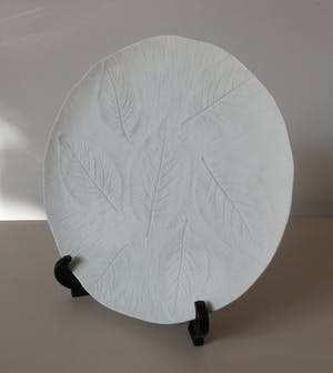 Niet of onleesbaar gesigneerd - Biscuit Porseleinen sierbord met relief afbeelding bladeren - Tirschenreuth kopen? Bied vanaf 1!