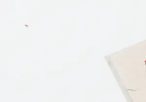 Mohammed Quraish - Zeefdruk, Flying IV - Ingelijst (Groot) kopen? Bied vanaf 35!