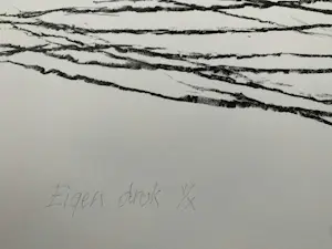 Willem den Ouden - litho De Waal 1991 nummer V/X kopen? Bied vanaf 79!