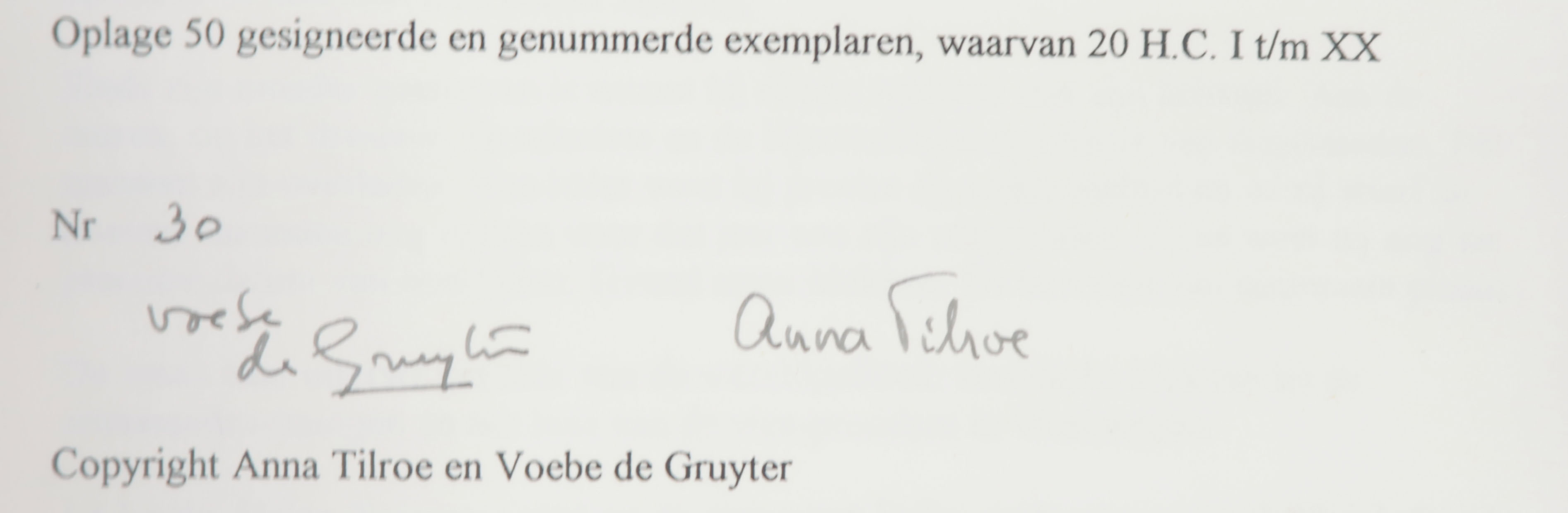 Voebe de Gruyter - Verzameld werk in samenwerking met Anna Tilroe, Het Tapijt kopen? Bied vanaf 50!
