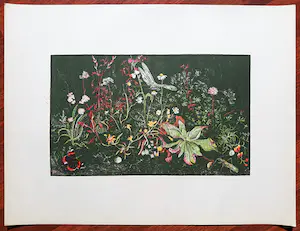 Wim Schuhmacher - Plantjes met insecten, litho kopen? Bied vanaf 25!