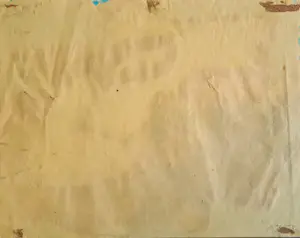 Niet of onleesbaar gesigneerd - Mexican Bull kopen? Bied vanaf 1!