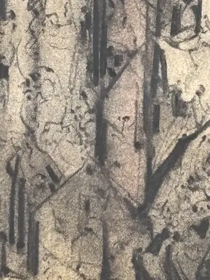 Albert Plasschaert - Opus 3785 kopen? Bied vanaf 20!