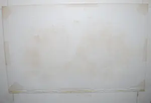 Edward Neale - Patrijzen - lithografie 19e eeuw kopen? Bied vanaf 35!