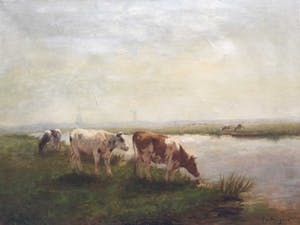 Fedor van Kregten - C3777, Koeien aan de waterkant kopen? Bied vanaf 450!
