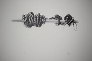 Roger Wittevrongel - Het Touw kopen? Bied vanaf 100!