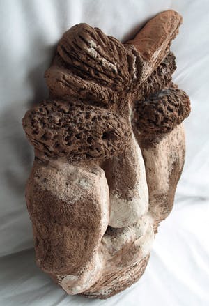 Niet of onleesbaar gesigneerd - Aardewerk (chamotte) en verf, ‘Hoofd’ – hoogte 44 cm kopen? Bied vanaf 1!