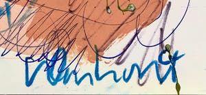 Peter Klashorst - My Asian Beauty kopen? Bied vanaf 1!