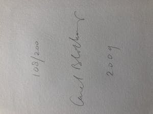 Carel Blotkamp - Naar Van Golden, naar Matisse kopen? Bied vanaf 10!