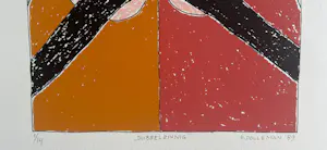 Petra Dolleman - Dubbelzinnig kopen? Bied vanaf 30!