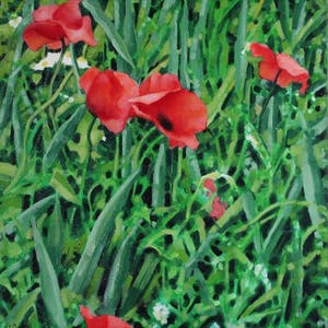 Willem Visser - Klaprozen 1 kopen? Bied vanaf 99!