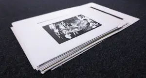 Stijn Peeters - Serie van 73 linosnedes 2003-2005 kopen? Bied vanaf 450!