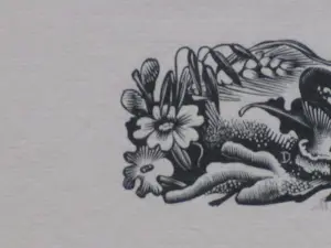 Dirk van Gelder - Herfst - Houtgravure kopen? Bied vanaf 50!