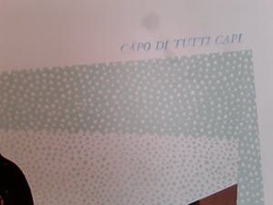 Woody van Amen - Cavellini 1914-2014,Campo di tutti capi kopen? Bied vanaf 10!