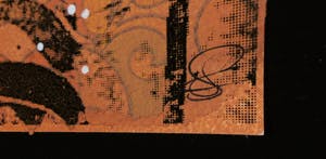 Suzanne van Soest - Zeefdruk, Flying fish - Ingelijst kopen? Bied vanaf 1!