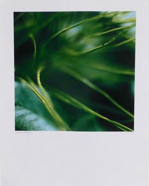 Paul den Hollander - Zonder titel kopen? Bied vanaf 150!