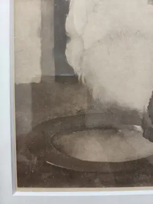 Jan Mankes - Zilverwynandotte. Haan. Ingelijst. kopen? Bied vanaf 129!