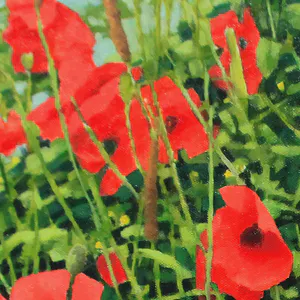 Willem Visser - Klaprozen 3 kopen? Bied vanaf 140!