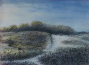 Jan van der Veer - Aquarel op papier, Waterleidingduinen III - Ingelijst kopen? Bied vanaf 40!