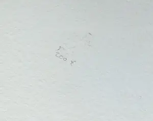 Bernard Alligand - Twee werken: Caresses d´ été en Vestiges kopen? Bied vanaf 49!