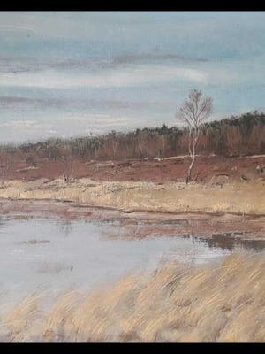 Niet of onleesbaar gesigneerd - Heidelandschap, gesigneerd. kopen? Bied vanaf 10!