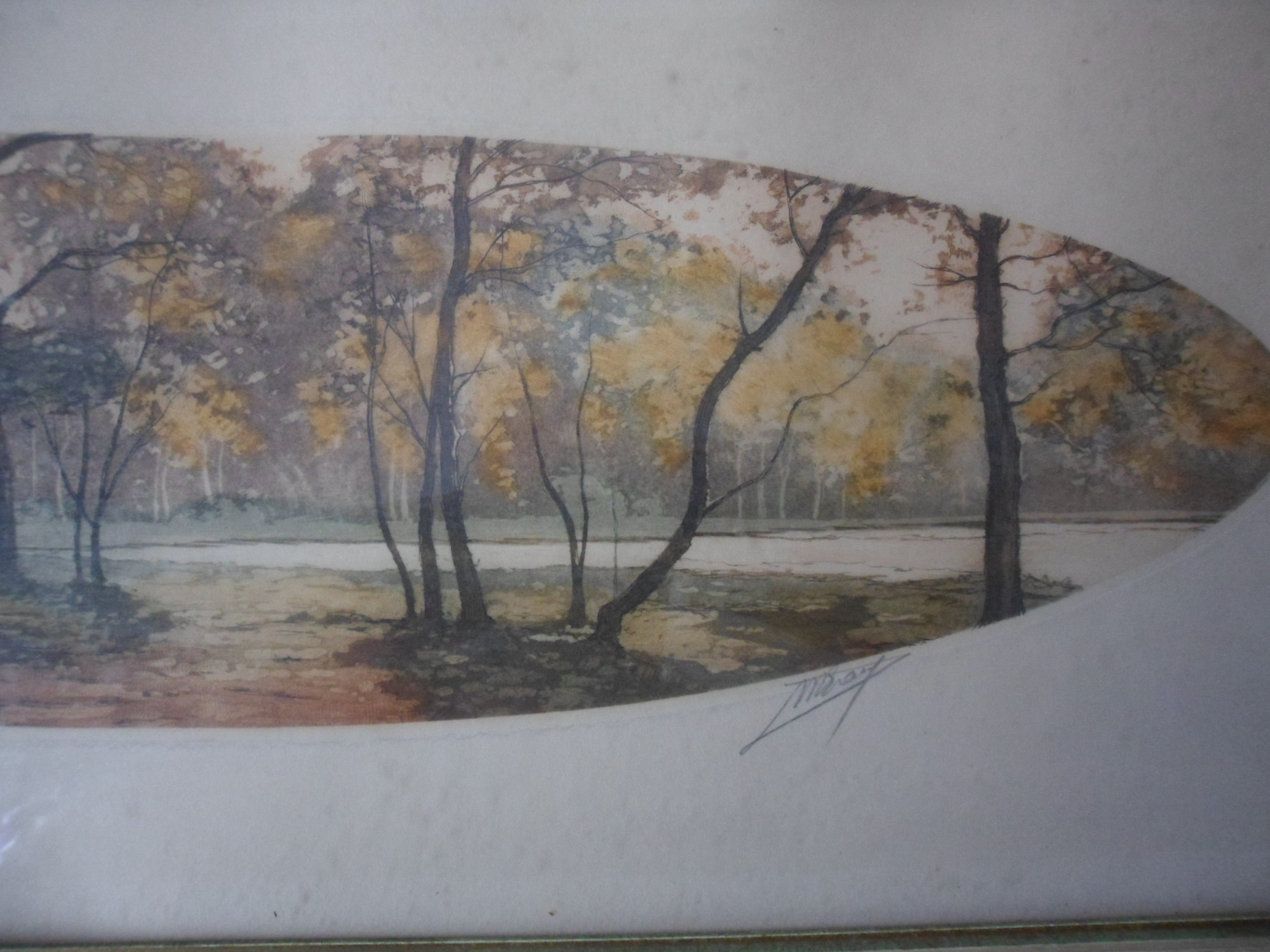 Niet of onleesbaar gesigneerd - Kleuren ets, Landschap kopen? Bied vanaf 1!