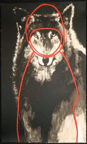 Dorien Plaat - Zeefdruk, Little Red Riding Hood (Groot) kopen? Bied vanaf 1!