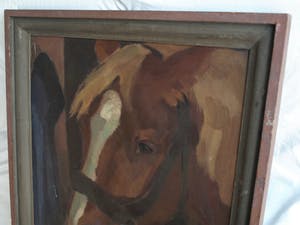 Niet of onleesbaar gesigneerd - Olieverf op doek , “Portret Paard” – gesigneerd & ingelijst kopen? Bied vanaf 10!